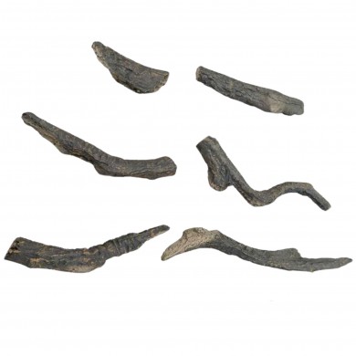 Bûches Translucides Radiant – Modèle 42