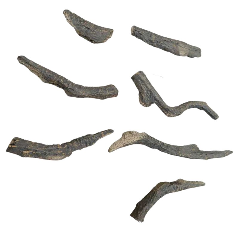 Troncos Translúcidos Radiant – Modelo 50