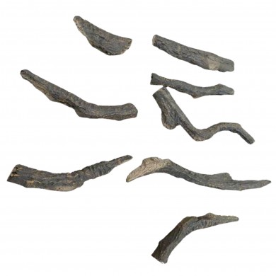 Bûches Translucides Radiant – Modèle 60